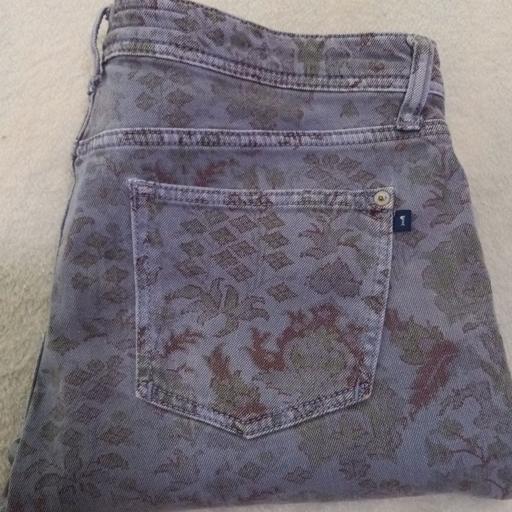 Anthropologie Pilcro and the Letterpress Blue Floral Boho Paisley Jeans 31 - Picture 2 of 12